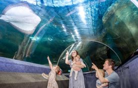 National Aquarium of New Zealand