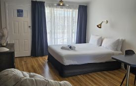 King Pet-Friendly Suite