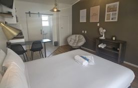 King Pet-Friendly Suite